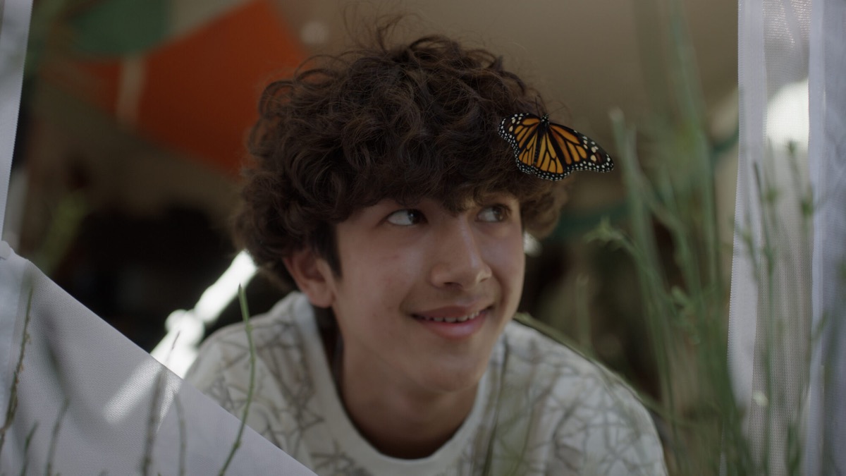 Charlie Lin looking up, a monarch butterfly resting in his hair